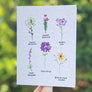 blank wildflower seed paper card for mental health